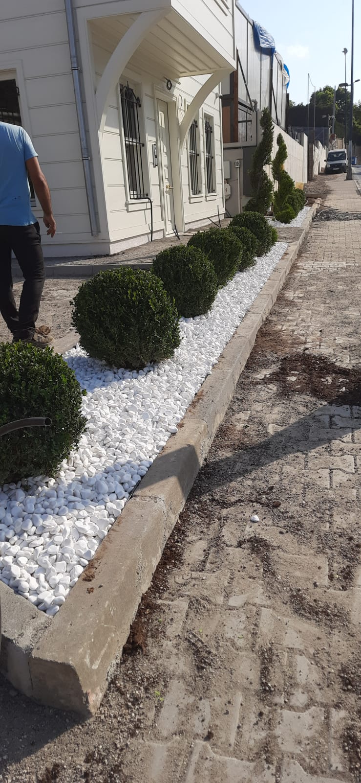 Peyzaş