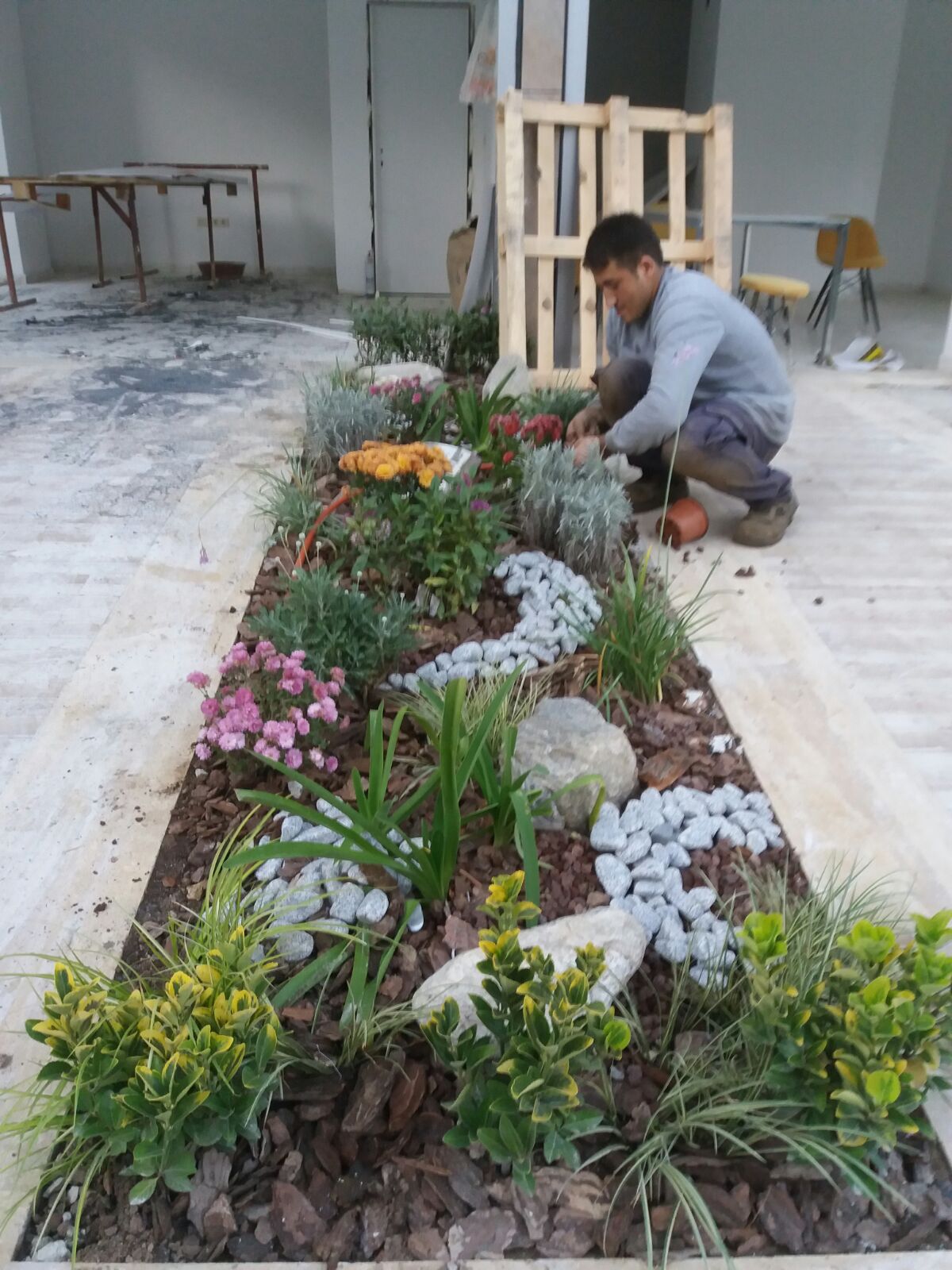 Peyzaş