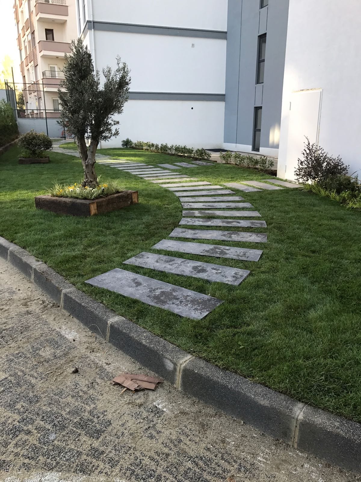 Peyzaş