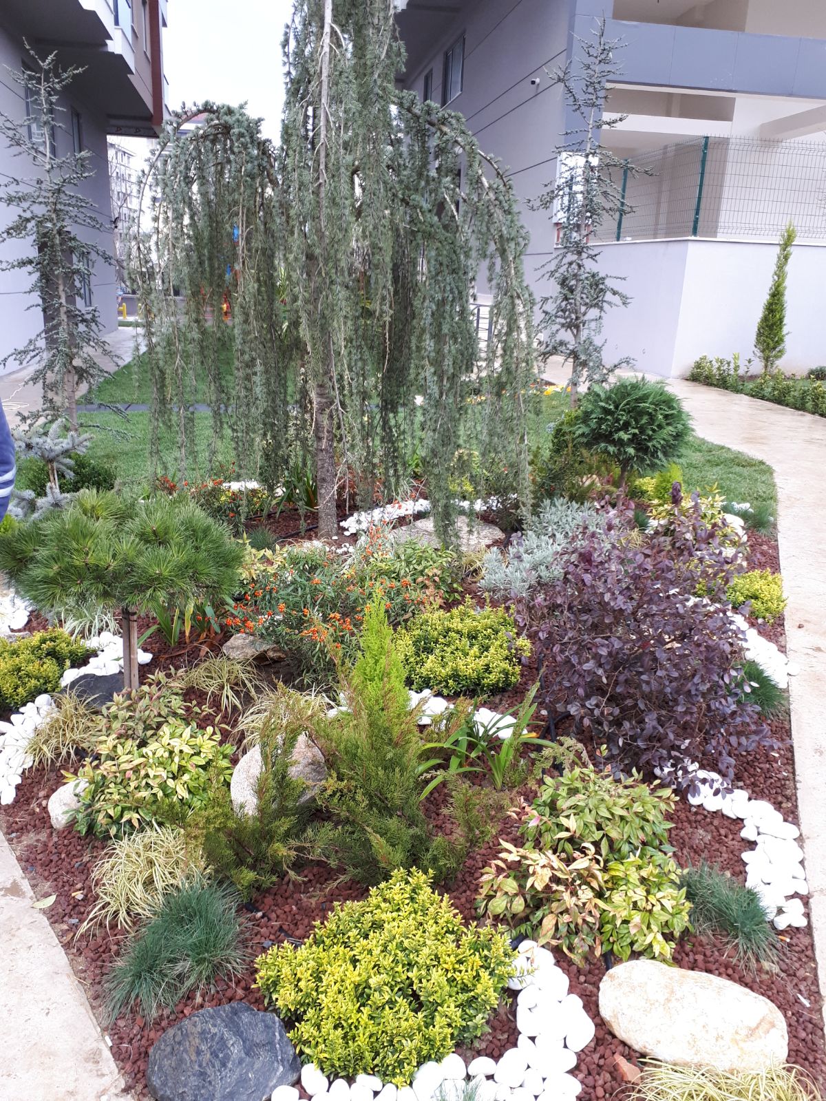 Peyzaş